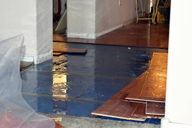 Professional Water Damage Restoration technician working in Grandview, TX